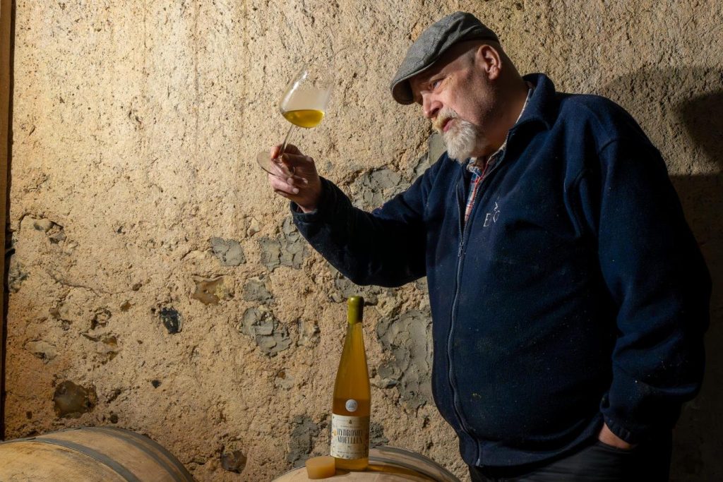 Le rucher des simples vins